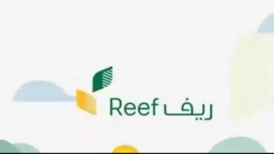 خطوات الاستعلام عن دعم ريف