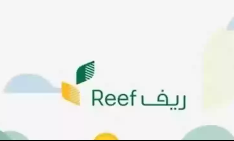 خطوات الاستعلام عن دعم ريف